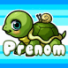 Petite tortue style manga