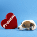 Chien allong� devant un coeur