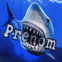 Squale pr�t � mordre
