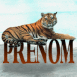 Tigre allong�