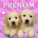 B�b�s labradors et motif vichy rose