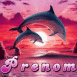 Dauphins devant un coucher de soleil rose