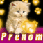 Persan rouquin et motifs n�on