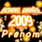"Bonne ann�e 2009"