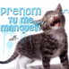 Chat en larmes "Tu me manques!"