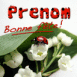 Une coccinelle sur du muguet