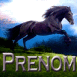 Cheval noir au galop