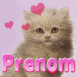 Chaton rouquin avec des coeurs