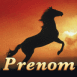 Cheval cabr�