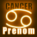 N�on zodiaque cancer