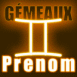 N�on zodiaque g�meaux