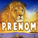 Lion dans le ciel