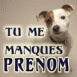 Petit chien levant la t�te "Tu me manques"