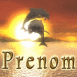 Dauphins se croisant au cr�puscule