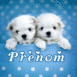 Chiots blancs sur un canap� bleu
