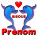 Dauphins amoureux "Bisous"