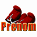 Gants de boxe