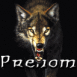 Loup noir mena�ant