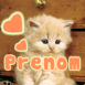 Chaton rouquin et coeurs