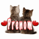 Chatons et coeurs