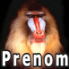 Singe