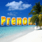 Plage et palmier