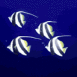 Poissons scalaires anim�s