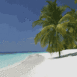 Plage, mer �meraude et palmier (Maldives)