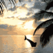 Dauphin avec plage au cr�puscule