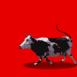 Vache sautante