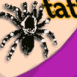 Tatouage tarentule