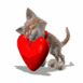 Chaton avec coeur 3D