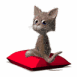 Chaton sur coussin rouge