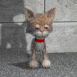 Chaton assis
