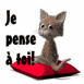 Chaton "Je pense � toi"