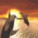 Dauphins se croisant au cr�puscule