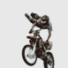 Motocross, figure acrobatique