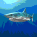 Requin mena�ant