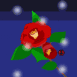 Roses sous la neige