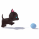 Chaton courant apr�s la balle