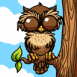 Hibou sur une branche