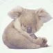 Koala faisant sa sieste