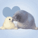 Maman et son b�b� phoque