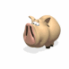Cochon courant � toute vitesse