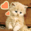 Chaton rouquin avec coeurs
