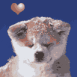 Chien husky b�b� faisant des coeurs