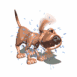 Chien s'�brouant