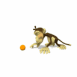 Singe jouant avec une balle