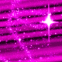 Ciel �toil� rose
