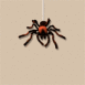 Mygale effrayante
